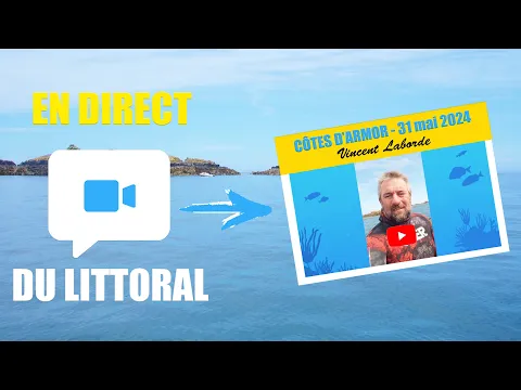 Vignette de la vidéo