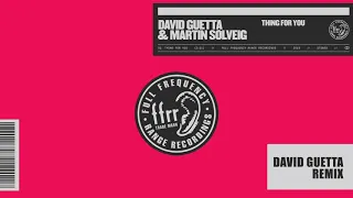 David Guetta & Martin Solveig - Thing For You (David Guetta remix)