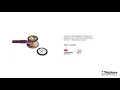 3M™ Littmann® Cardiology IV™ fonendoszkóp, magas fényezésű szivárványos hallgatófej, szilva színű cső, lila szár és fekete fülhallgató, 6239 video