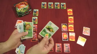 SYLVION Card Game Quick Walkthrough w/ Doron