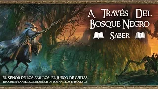 02 A TRAVÉS DEL BOSQUE NEGRO: SABER