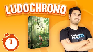 Ludochrono - Forêt Mixte