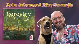 Forestry Solo Playthrough