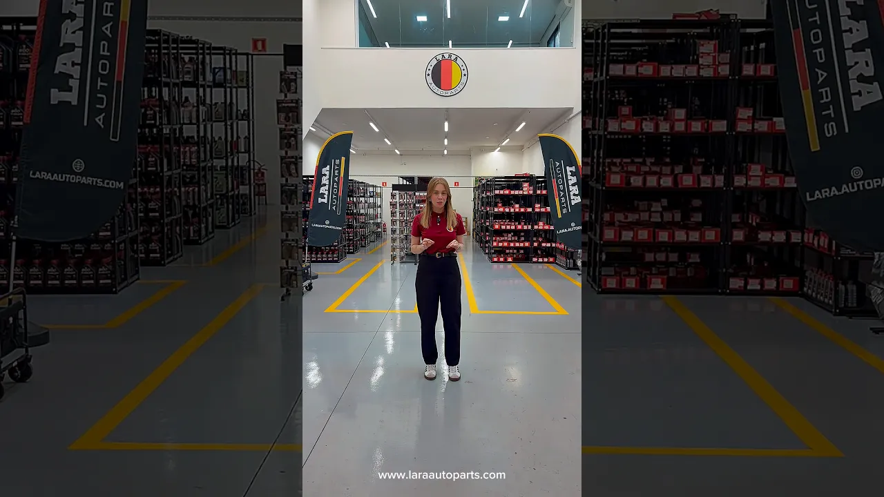 Video de Lara Autoparts
