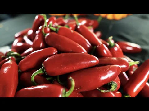 youtube-video-thumbnail