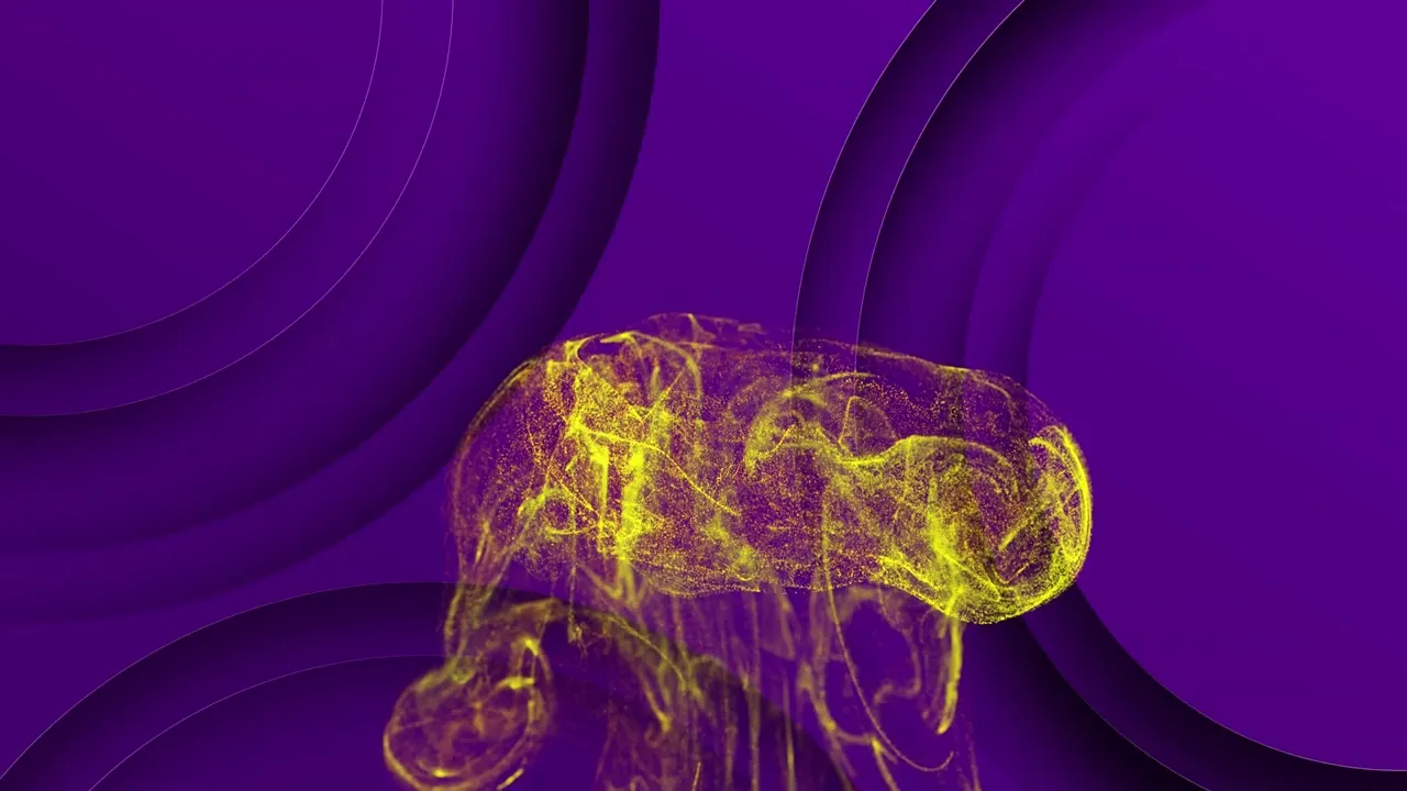 Video of Zimda Digital Solutions