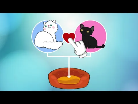 Video van Cats Tower