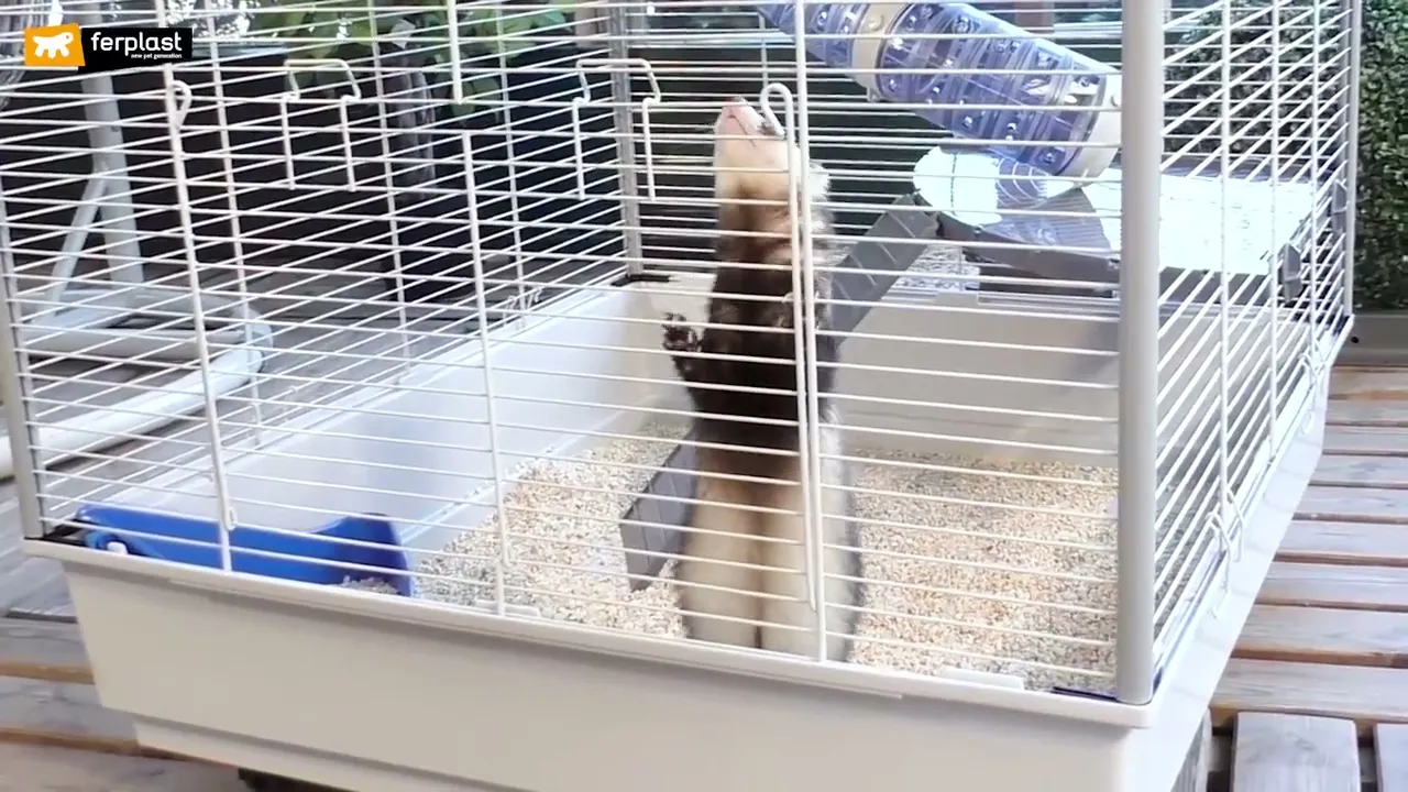 Клітка Ferplast Furet XL для тхорів