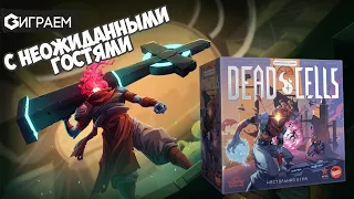 DEAD CELLS - Играем в настольную игру с неожиданными гостями | Geek Media