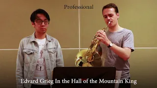 Professional vs Beginner French Horn
