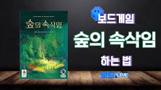 숲의 속삭임 보드게임 하는 법 | Board game Rules | 3분게임요리