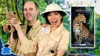 Earth: Animal Kingdom Expansion - Enter Cute Animeeples