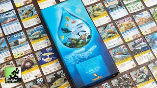 Ark Nova: Marine Worlds - a must-have expansion, but it's missing one crucial thing!
