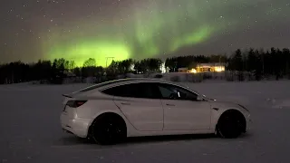 Bjørn Nyland Live Stream