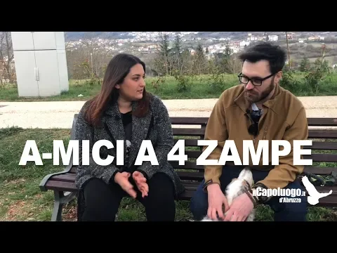 <span style="color:var(--accent)">Video:</span> Cani e gatti, nuovi compagni d’avventura