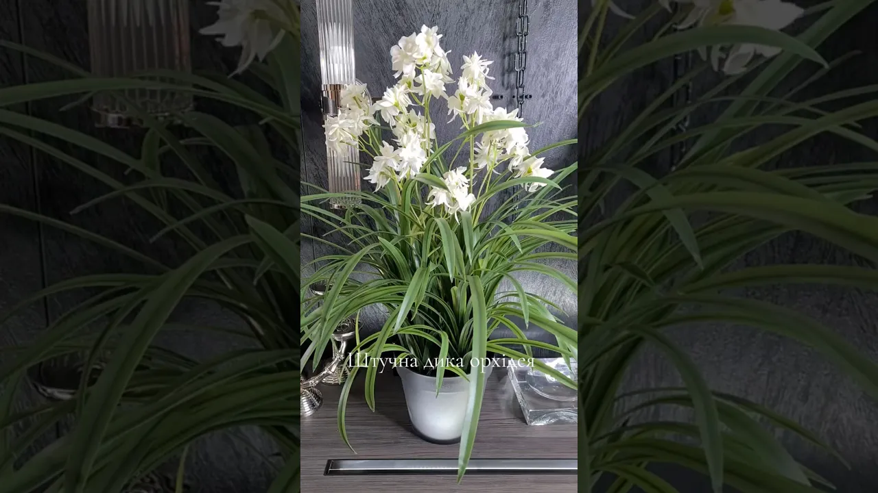 Artificial Plant Orchid Wild white H85cm NKoop FW