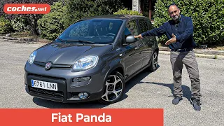 Fiat PANDA | Prueba / Test / Review en español | coches.net