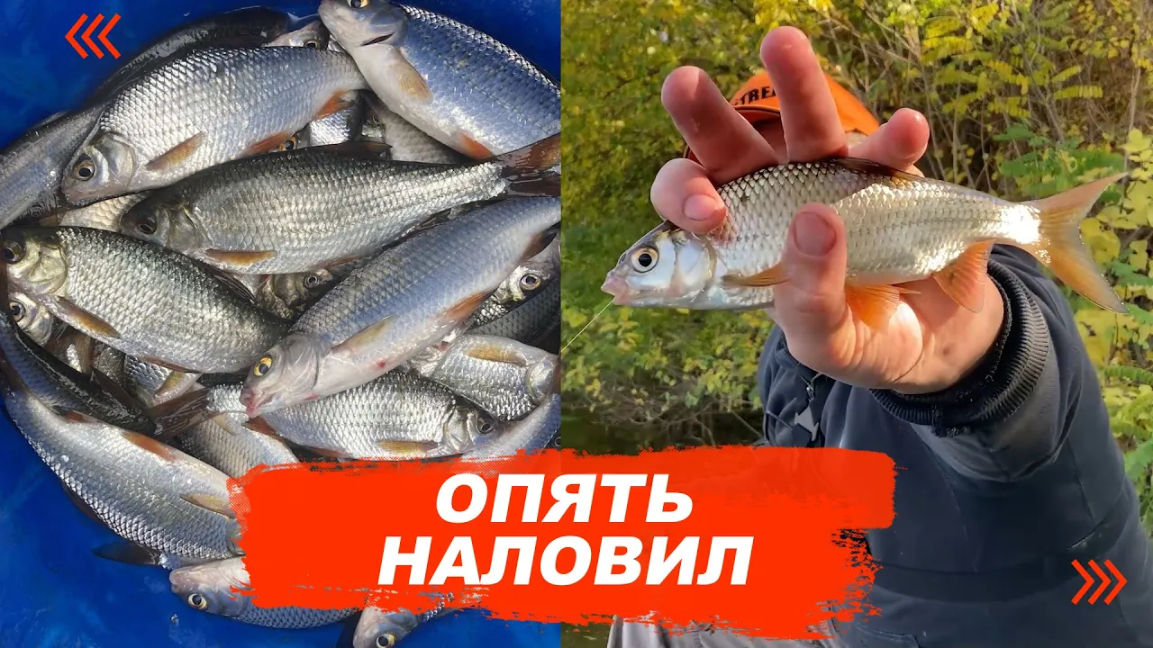 rybalka