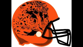 Breakaway Football: Team-Specific Abilities - "Leopards"