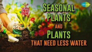 Seasonal plants and plants that need less water | Nani Maa Ke Nuskhe | Saregama Podcast |