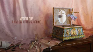 Rainbow Kitten Surprise - Meticulous (Official Audio)