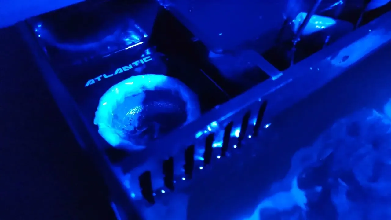 Vídeo de ATLANTIC AQUARIUMS