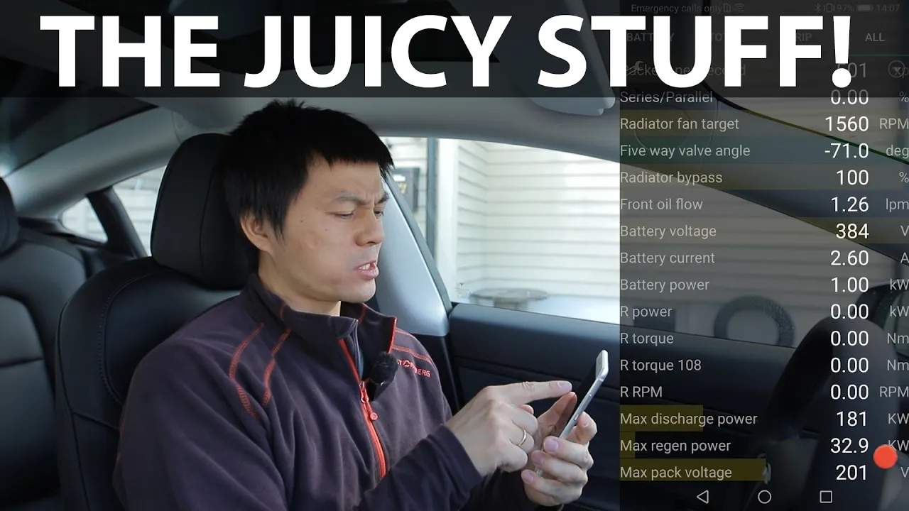 Checking battery in Model 3 SR+ with ScanMyTesla
