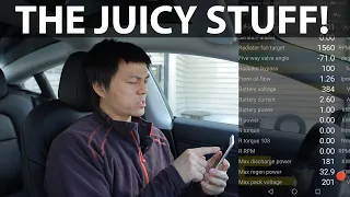 Checking battery in Model 3 SR+ with ScanMyTesla