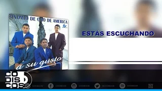 Que Cosas Tiene El Amor, Binomio De Oro De América - Audio