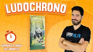 Ludochrono - Harmonies Pulse