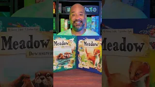 Meadow + Meadow: Downstream First Play Impressions - Game Review