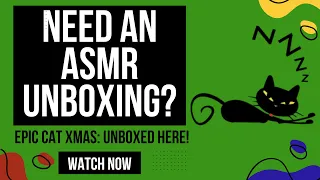 Epic Cat XMAS Unboxing Video