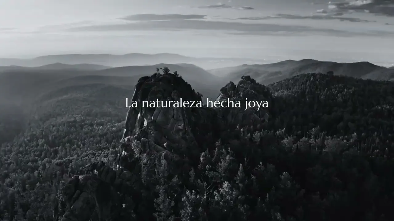 Video de D I A N T R E S