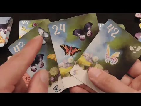 The Butterfly Garden Review