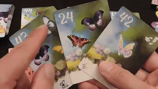 The Butterfly Garden Review