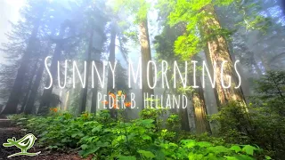 Peder B. Helland - Sunny Mornings (Radio Edit)