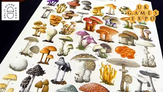 Do you have mush-room for Mycelia in your board game collection from Split Stone Games