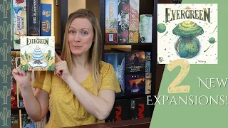 Pines & Cacti | EVERGREEN EXPANSIONS Overview & Review