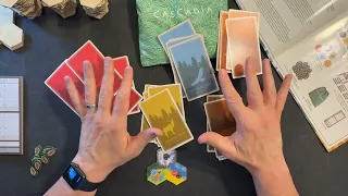 Cascadia How to Play and Solo Gameplay Session