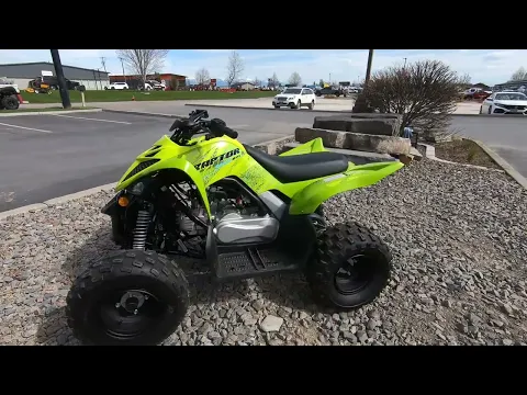 2026 Yamaha Raptor 110 Thumbnail alt