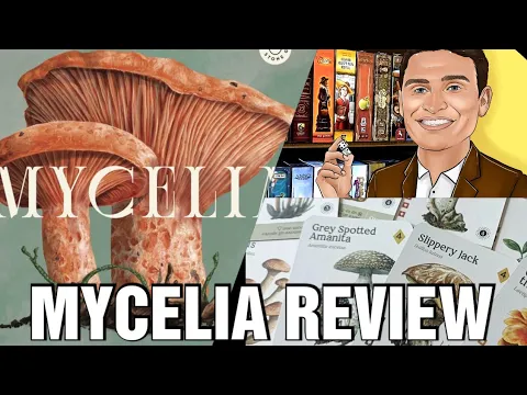 Mycelia Review - Chairman of the Board