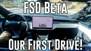 FSD Beta First Time for Mach-E owners!