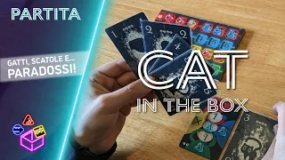 Cat in the box - italiano // MURASAKI NIGHTS GAMEPLAYS