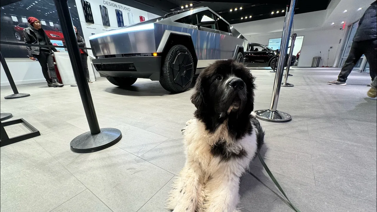 My First Look At Tesla Cybertruck!