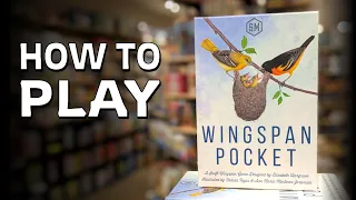 How to Play WINGSPAN POCKET