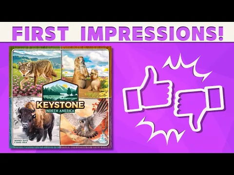 Keystone North America - First Impressions Review!