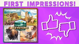 Keystone North America - First Impressions Review!