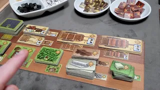 Fields of Arle: How to Play