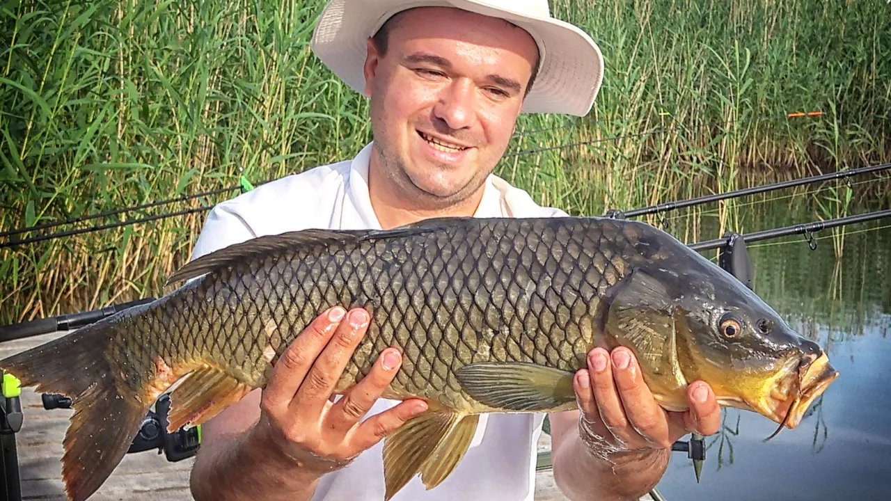 rybalka