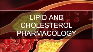 Lipid Lowering Agents (Cholesterol Drugs)